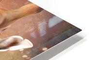 Digital Giraffe Impression metal HD