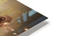 Bear Salmon HD Metal print
