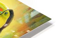 toucan HD Metal print