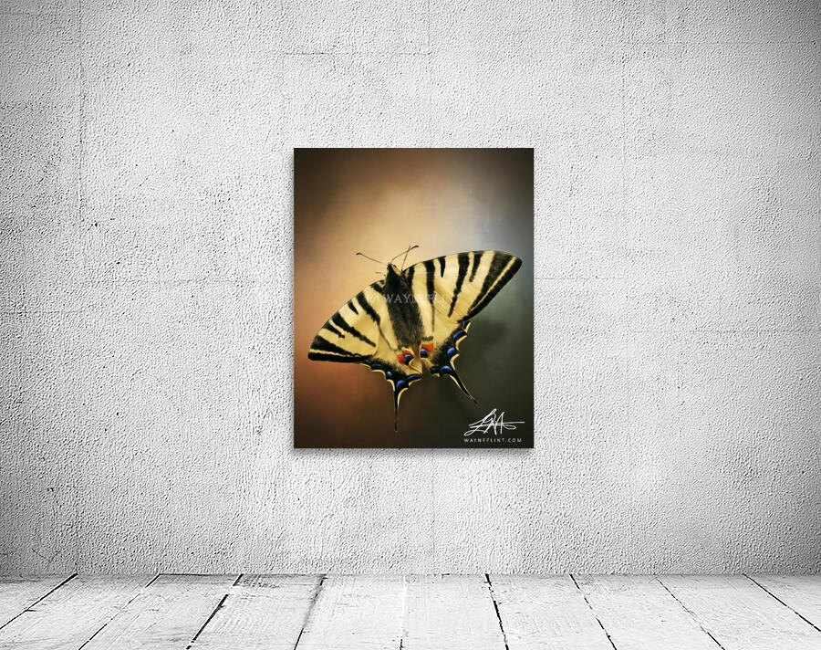 Digital Butterfly Wall Preview