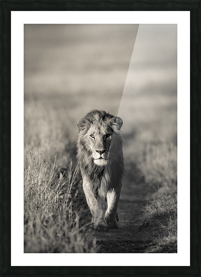 A Kings Marching Picture Frame print