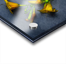 IMG 5445 3 Acrylic print