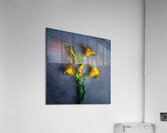 IMG 5445 3 Acrylic Print