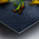 IMG 5445 3 Metal print