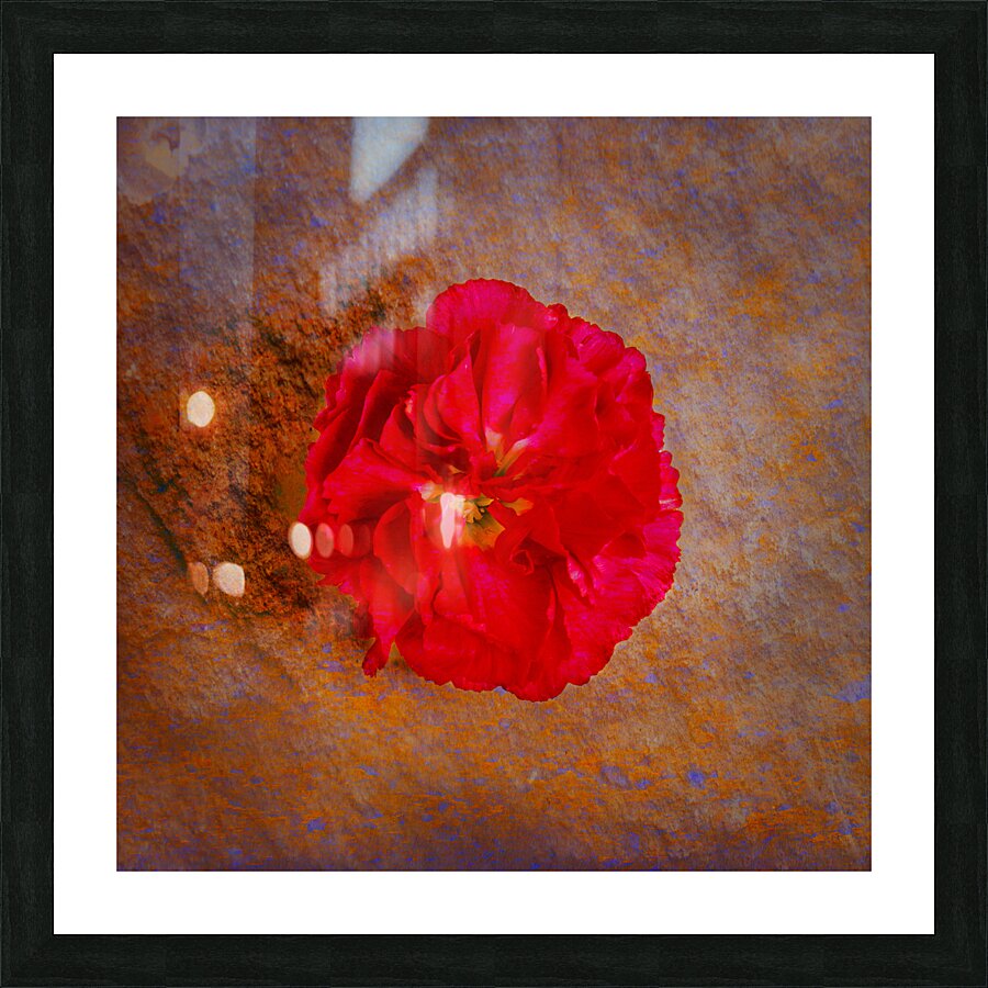 IMG 4994 5 Picture Frame print