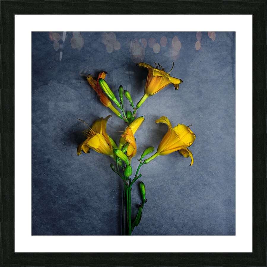 IMG 5445 3 Picture Frame print