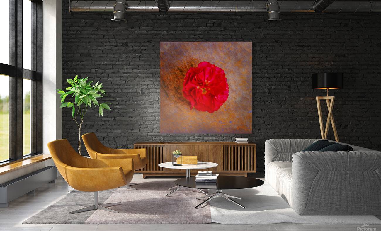 IMG 4994 5 Reproduction