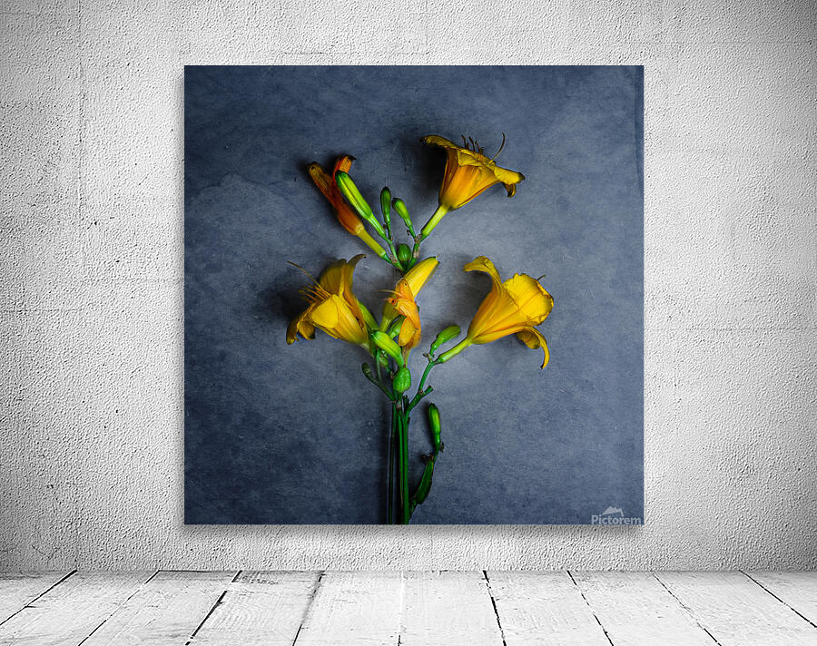 IMG 5445 3 Wall Preview