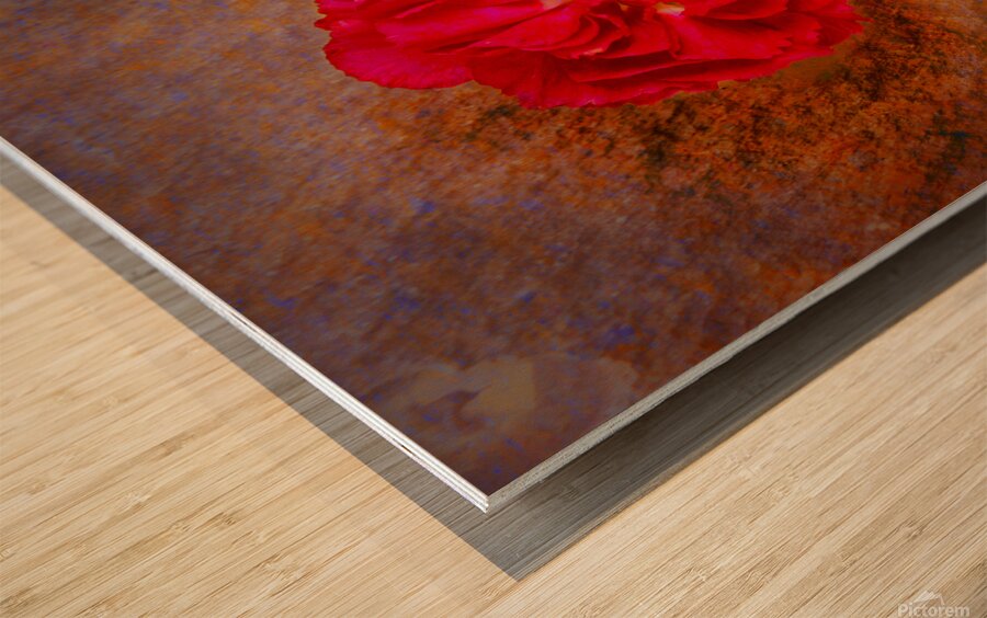 IMG 4994 5 Wood print