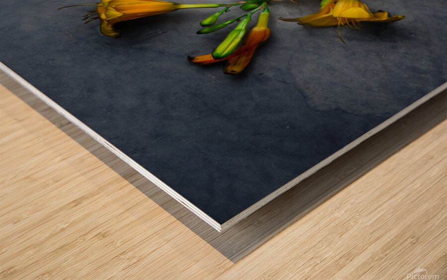 IMG 5445 3 Wood print