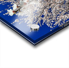 Almendro en flor Acrylic print