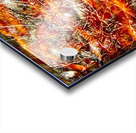 Peces de colores Acrylic print