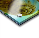 Espiral Acrylic print