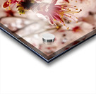 Anuncio de la primavera Acrylic print