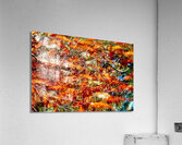 Peces de colores Acrylic Print