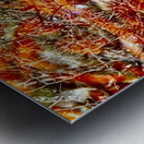 Peces de colores Metal print