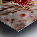 Anuncio de la primavera Metal print