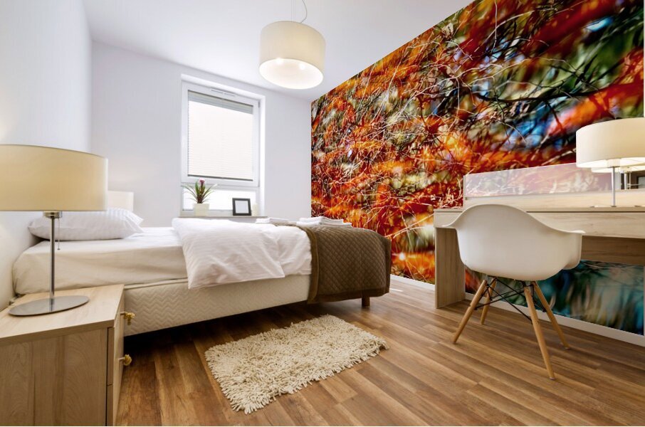 Peces de colores Mural print