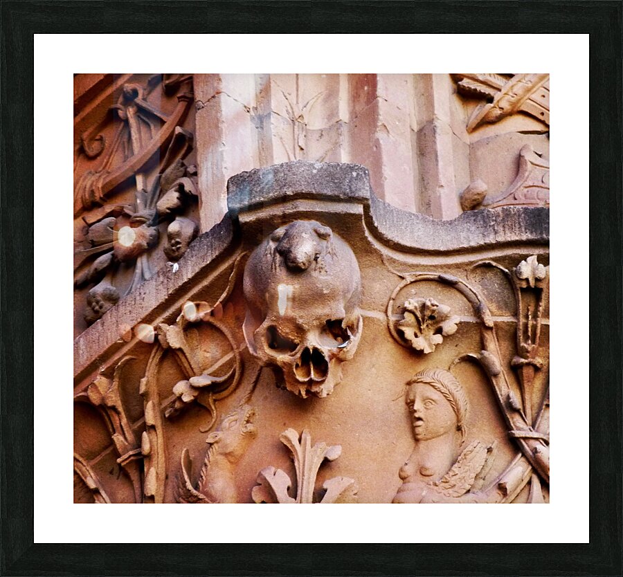 Salamanca Picture Frame print