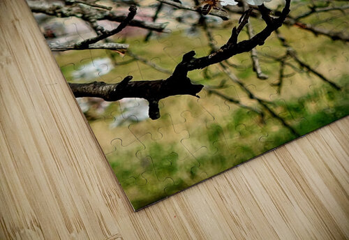 Almendros Juan Francisco Maura puzzle