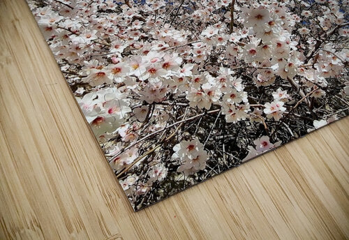 Almendro en flor Juan Francisco Maura puzzle