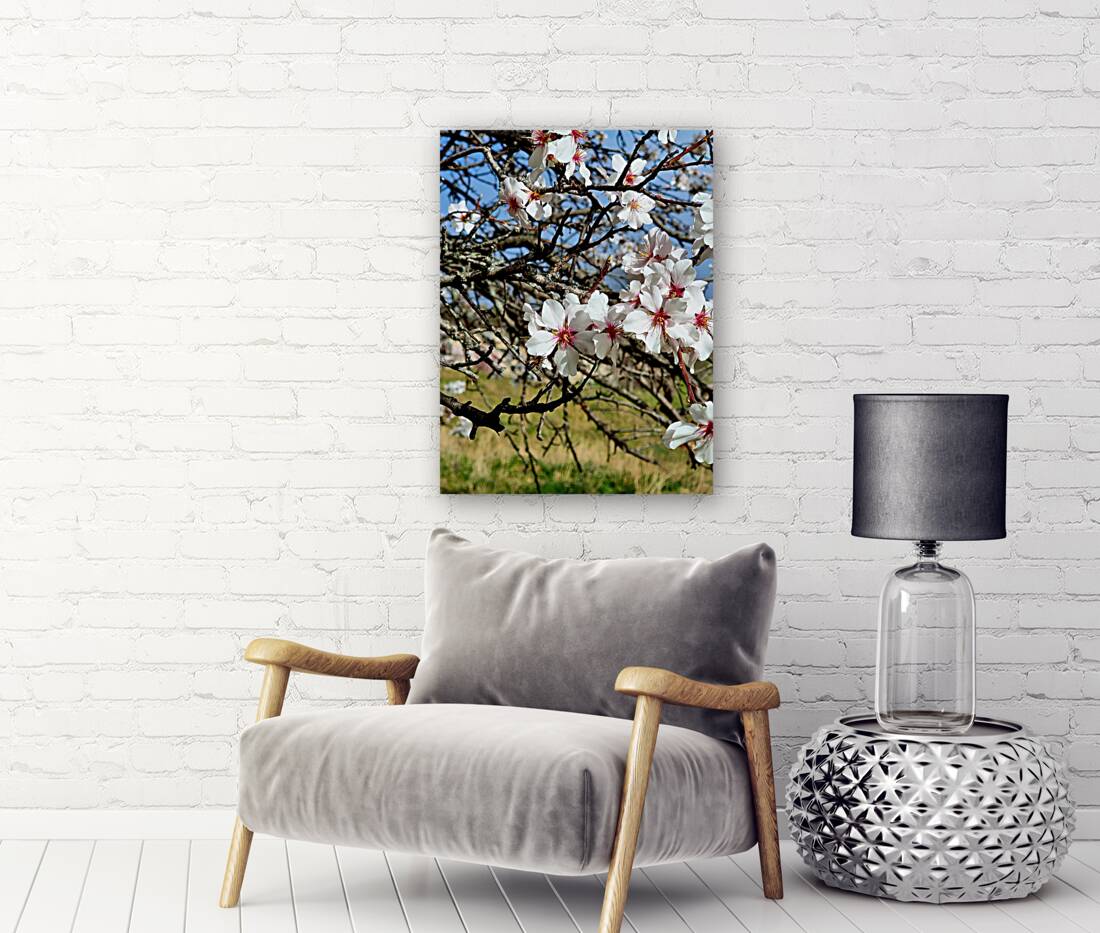 Almendros Reproduction