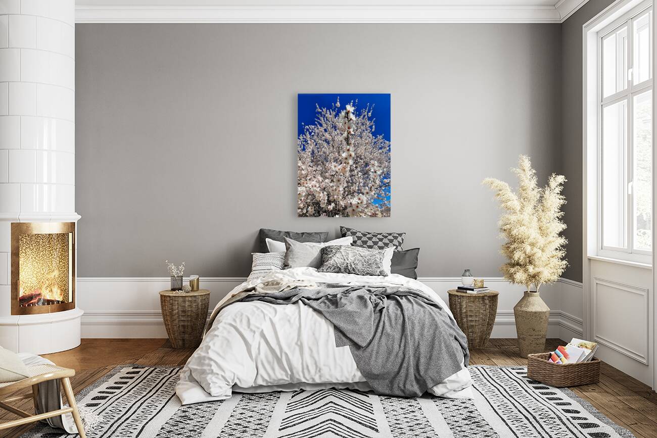 Almendro en flor Reproduction