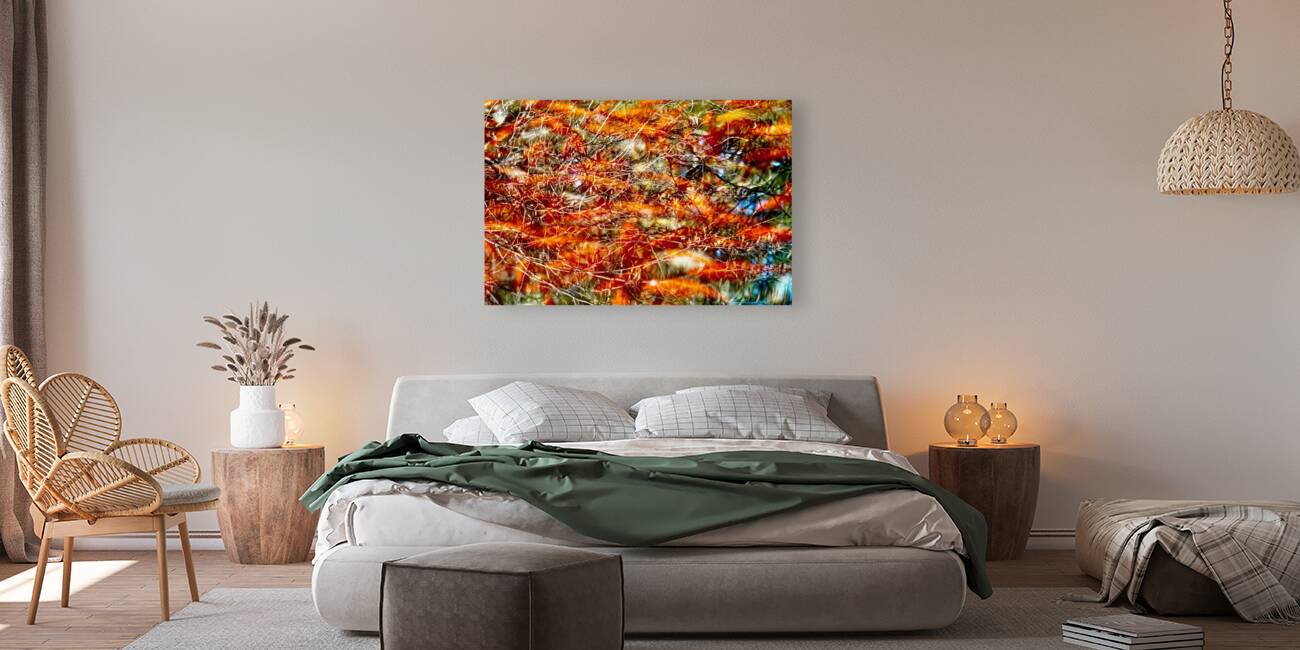 Peces de colores Reproduction