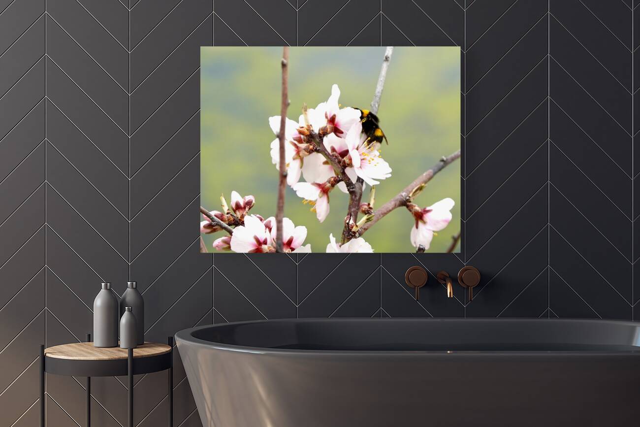 Primavera 2025 Reproduction