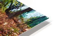 Vermont Fall Walk HD Metal print
