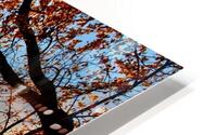 Vermont Sunset HD Metal print