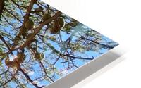 San Ildefonso HD Metal print