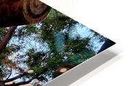 Palma de Mallorca HD Metal print