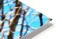 Herreruelo HD Metal print