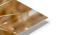 Cardo Espana HD Metal print