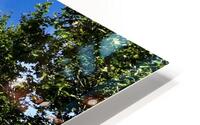 Madrid 2025 HD Metal print