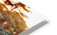 Primavera HD Metal print