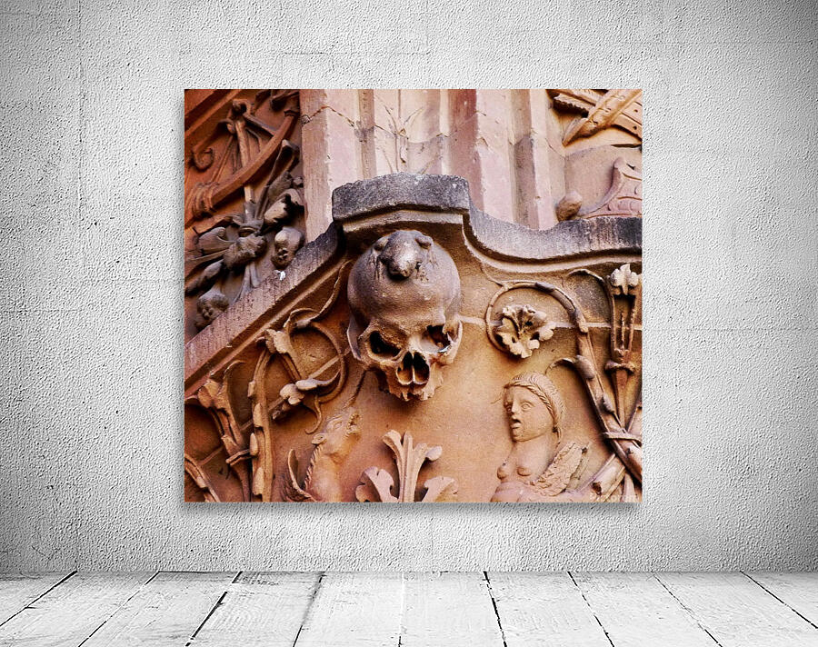 Salamanca Wall Preview