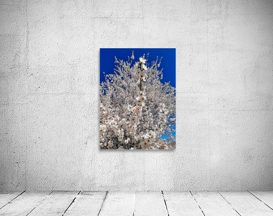 Almendro en flor Wall Preview