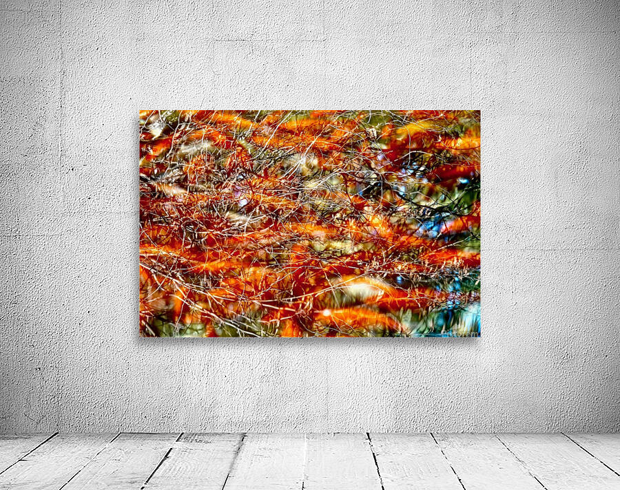 Peces de colores Wall Preview