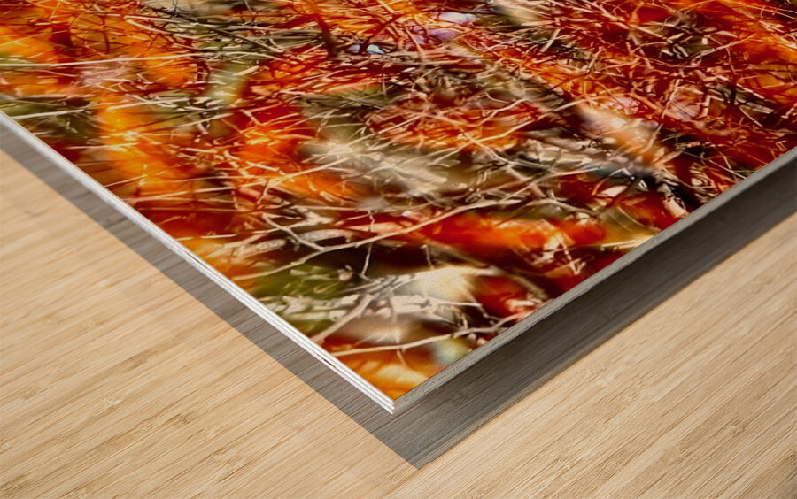 Peces de colores Wood print