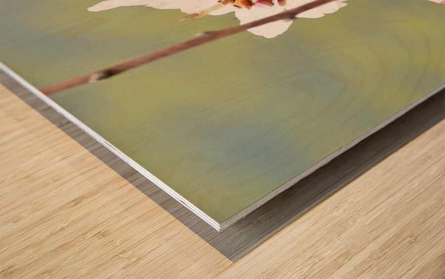 Primavera 2025 Wood print