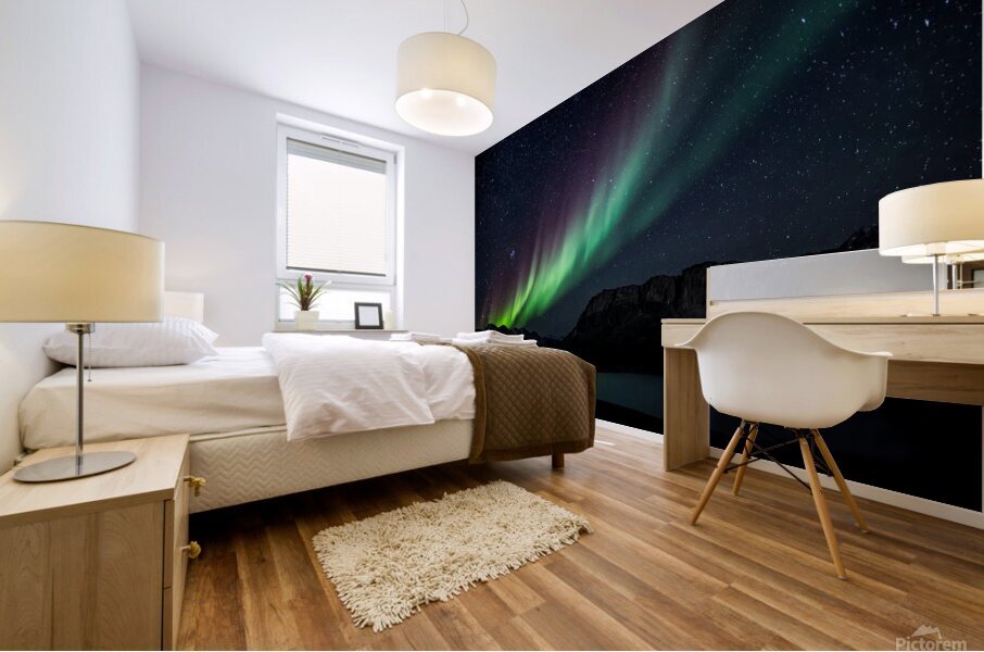 Landscape Greeland Mural print