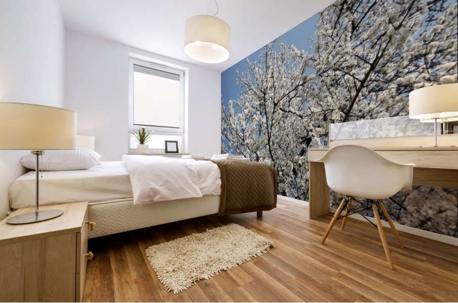 Sky through Blossomed Tree Branches Mural print