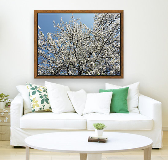 Sky through Blossomed Tree Branches Reproduction