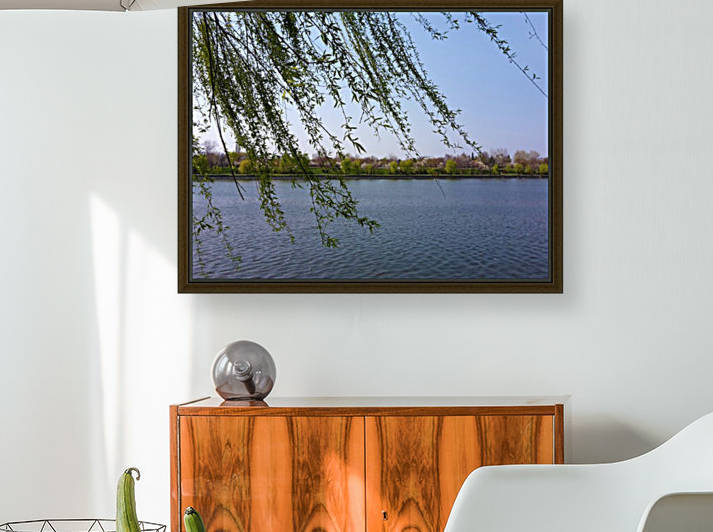 Willow and Lake in Spring by Daniel G 