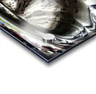 The Bean Acrylic print