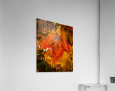 Single Leaf Acrylic Print