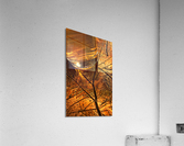 Glass on copper leaf Acrylic Print
