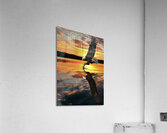Eagle Sunset Reflection Acrylic Print
